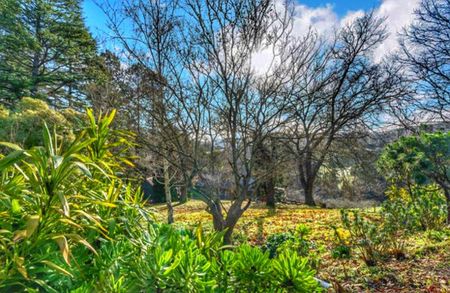 Basket Range - Photo 3