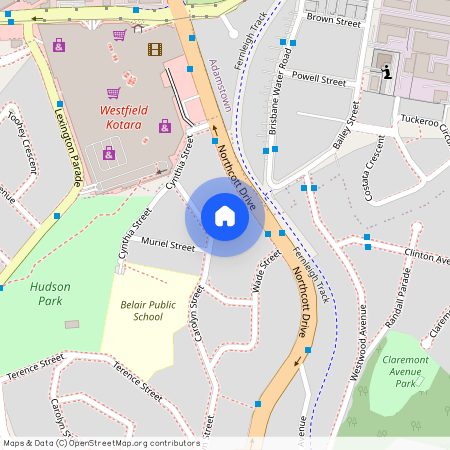 15 Carolyn Street, 2289, Adamstown Heights, Nsw