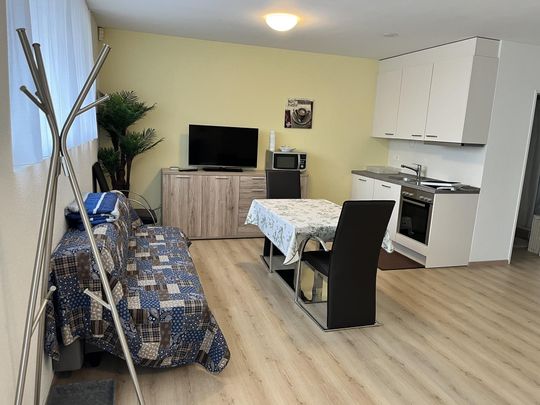 Möblierte 1.5 Zimmer Einliegerwohnung in 8047 Zürich - Photo 1