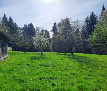 Landwirtschaft Nähe Graz mit Mietkaufoption - Ideal für Pferdehaltung! - Photo 2