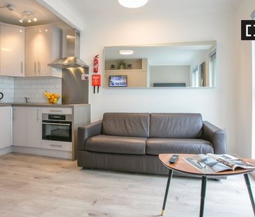 Serviced studio apartment for rent in St Stephen's Green, D2 - Photo 2