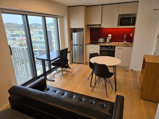 Furnished Modern Studio on Dixon - Photo 1