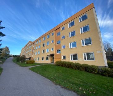 Runebergsgatan 38 - Photo 1