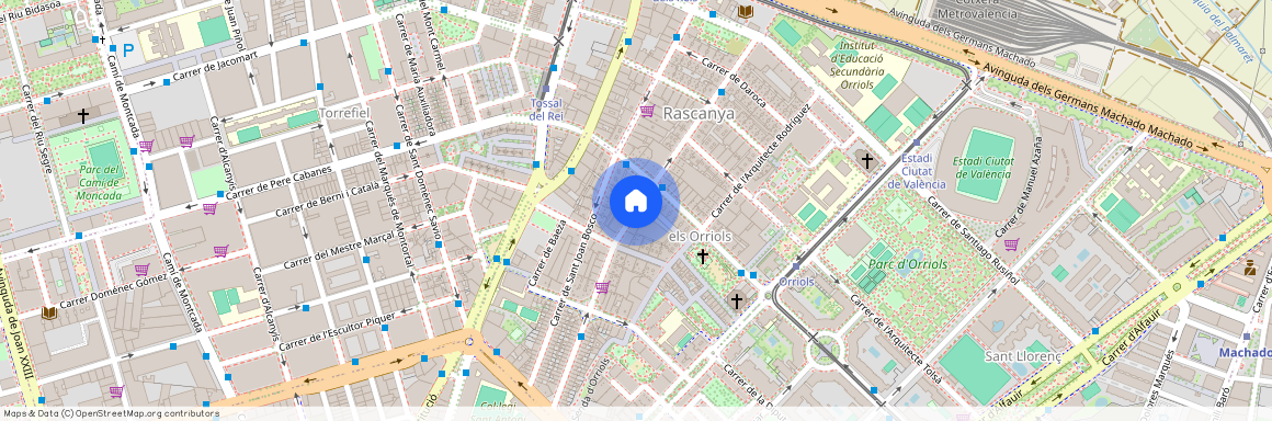 Carrer del Pare Viñas, Valencia, Valencian Community 46019