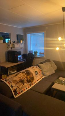 Elestorpsvägen, Veinge - Foto 1