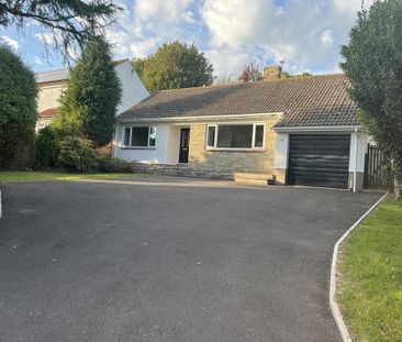 2 bedroom detached bungalow to rent - Photo 2