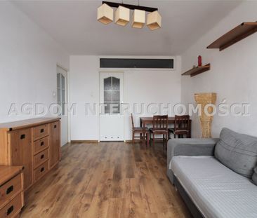 Kazimierza Wielkiego, Włocławek - Zdjęcie 3