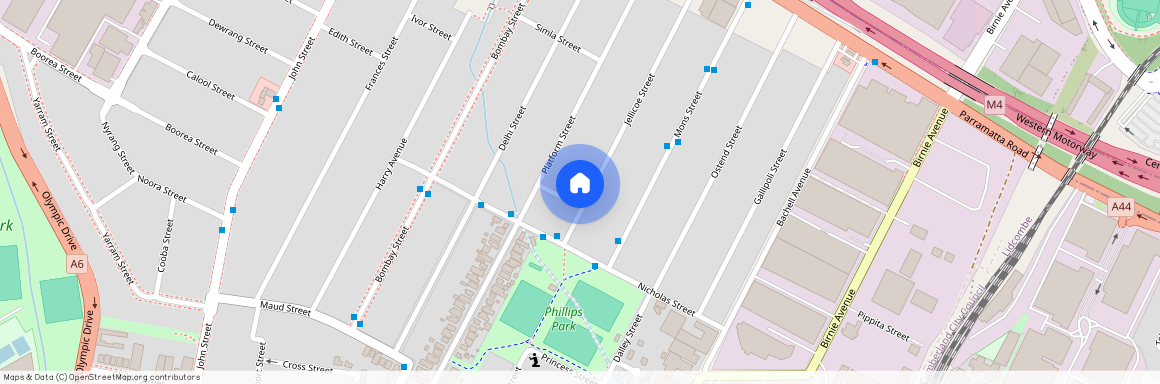 12 Belgium Street, NSW 2141, Lidcombe