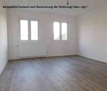 ***Renovierte 2-Zimmerwohnung in ruhiger und grüner Umgebung*** - Photo 2