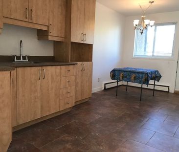 3 Chambres Pres Blv Duplessis - Photo 3