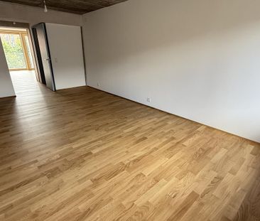 CoDeck: Wohnen im angesagten Hafen-Quartier (Mietvertrag Plus) - Photo 3