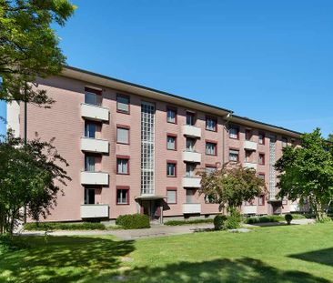 2 Zimmer, 45 m², EG - Foto 3