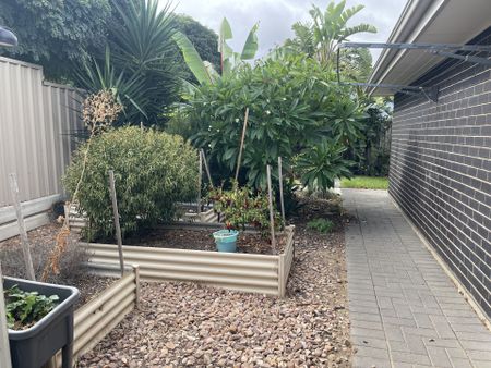 Coastal Family Home - Photo 4