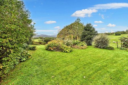 2 bedroom detached bungalow to rent - Photo 4