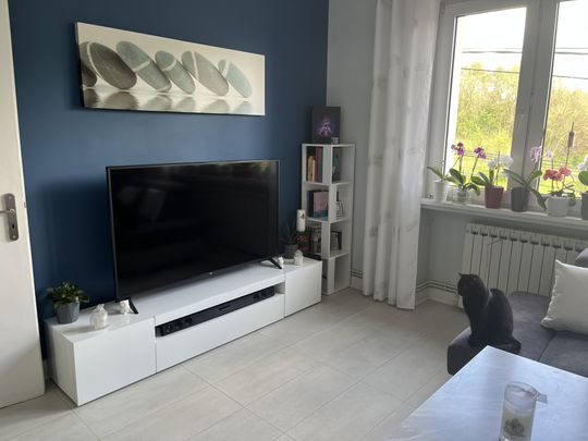 Location Appartement 3 pièces 64m² MAIZIERES LES METZ 57280 - Photo 1