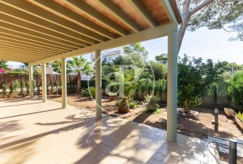 House for rent with Terrace in Port d’Alcúdia - Platja d'Alcúdia (Alcúdia)