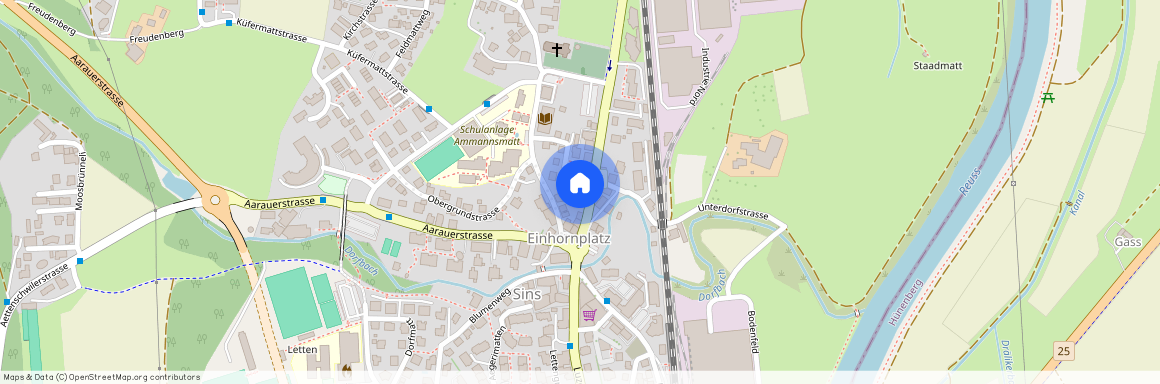 5643, Sins, Bremgartenstrasse, 3