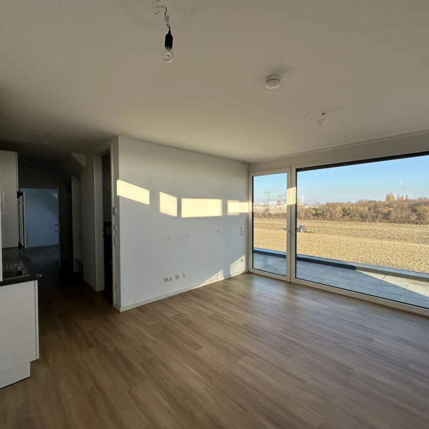 UNBEFRISTET: 2-Zimmer-DG inkl. großer Terrasse ab NOVEMBER! - Photo 1