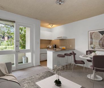 Spacious One Bedroom - Position Perfect! - Photo 1