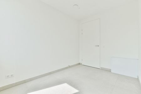 Knobbelzwaan 121 - Foto 2