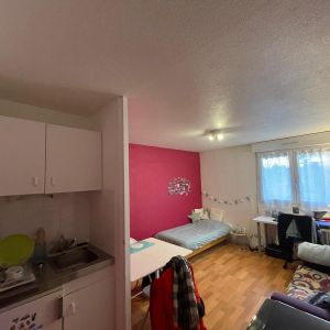 Location Appartement 1 pièce 20m² ANGERS 49000 - Photo 2