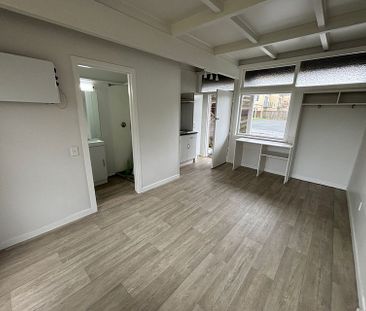 Completely refurbished studio unit - Photo 4