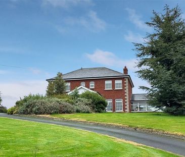 Hillview, Little Ash, Knockbridge, Co. Louth, A91 KF10 - Photo 3