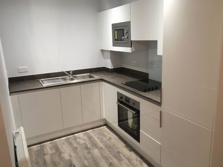 1 Bed Flat, Park Works, B12 - Photo 3