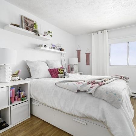 Appartement 4 ½ à louer Loretteville mai 2026 - Photo 3