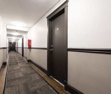 54 Maitland Street - Photo 3