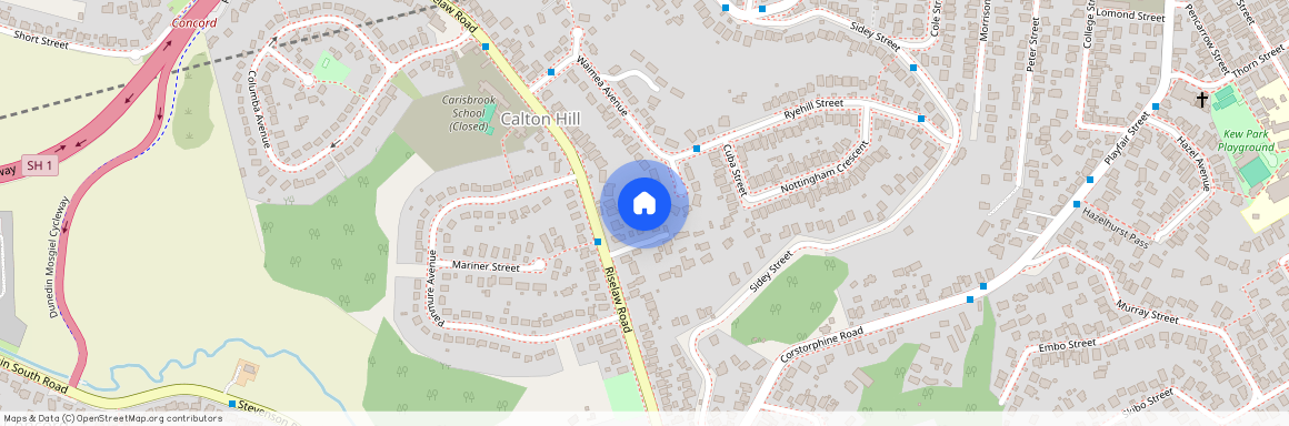 85 Riselaw Road, Calton Hill, Dunedin City