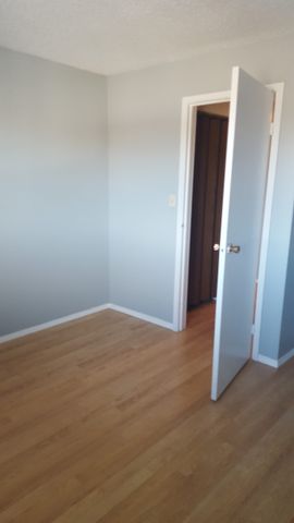 Birchwood Apartments across from Bower Mall - Photo 3