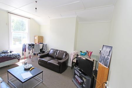 113B Stafford Street, Dunedin Central, Dunedin City - Photo 3