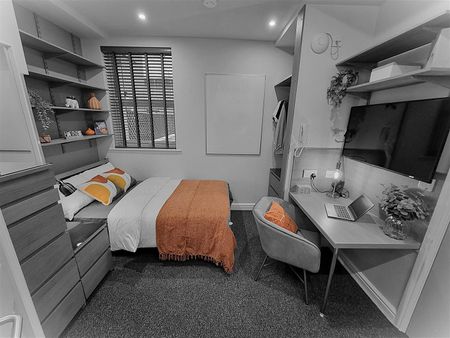 Rasen Lane - Studio for Jan 2026 - Photo 5