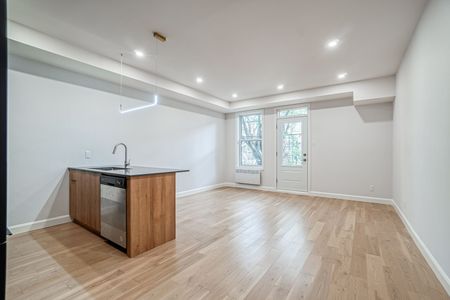 Condo for rent, Montréal (Le Plateau-Mont-Royal) - Photo 3