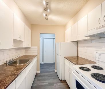 Mainstreet Central Apartments - Photo 2
