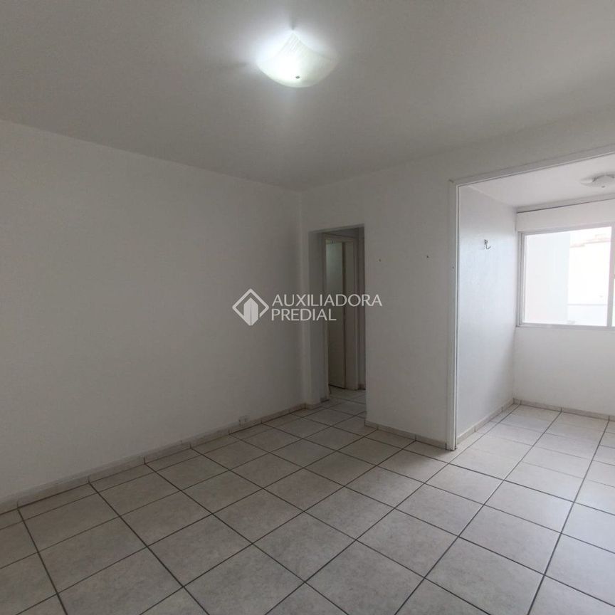 Apartamento com 1 quarto e 65m² para alugar em Ideal, Novo Hamburgo. - Photo 1