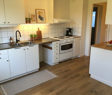 Avesta Hede: Tvåa i markplan - Photo 3