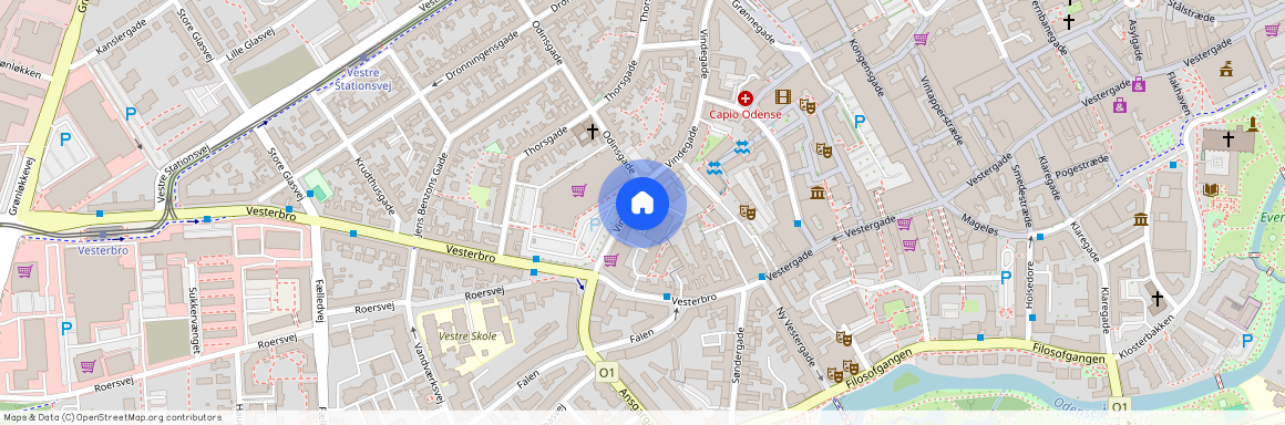 Vindegade 124B, 5000 Odense C