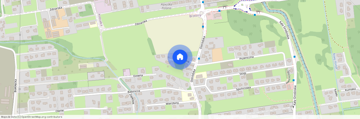 ul. Zmyślona, Brzeziny, Białołęka, Warszawa, mazowieckie