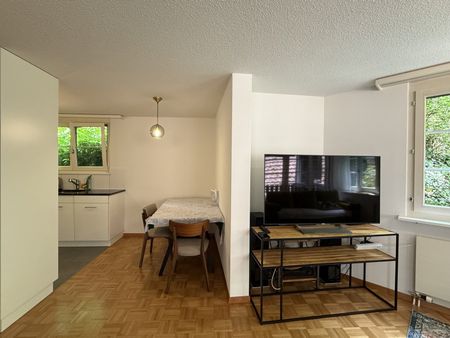 3.5 Zimmer, 66 m², 2. Stock - Foto 3