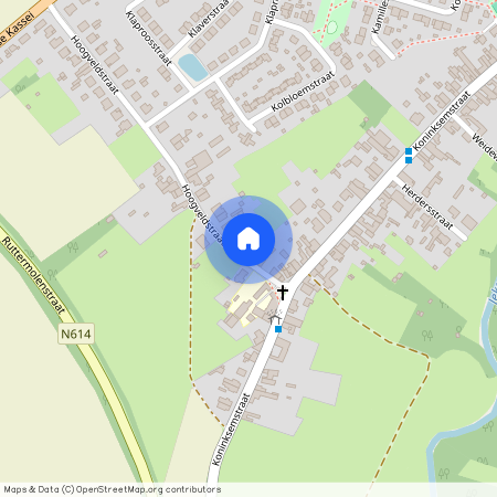 Hoogveldstraat 9, 3700 Koninksem