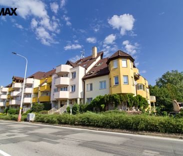 Pronájem bytu 2+kk v osobním vlastnictví 75 m², Tábor - Photo 3