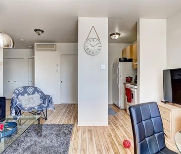 Rue Ste-Anne, H9X 1L2, Sainte-Anne-De-Bellevue - Photo 6