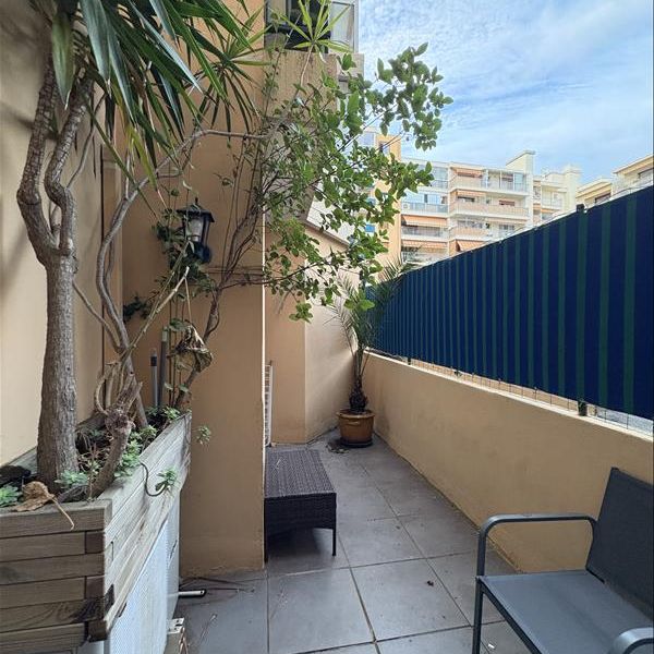 1 pièce - Meublé - 28,14 m² - RDC - Colocation non autorisée - Photo 1