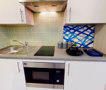 Bronze Studio Plus - Photo 5