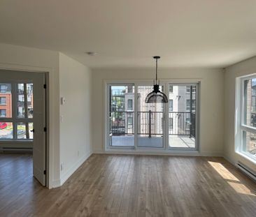 3720 Rue Médard Émard, Longueuil (Saint-Hubert), QC J3Y - Photo 6