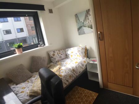 Ensuite Room (Gold-A) - Photo 4