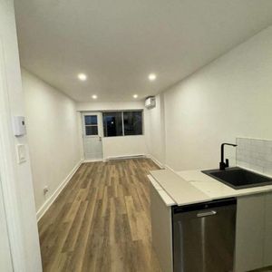 1 CH - 1 SDB - Montréal - $1,395 /mo - Photo 2