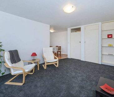 SPACIOUS & FURNISHED APARTMENT - Photo 3